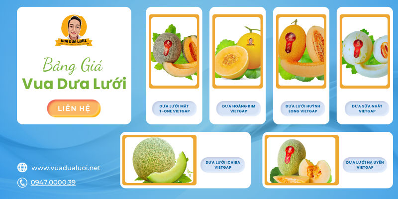 Vua Dưa Lưới - Dưa Lưới Sạch - Giá Dưa Lưới Vàng Chuẩn VIETGAP Bảng giá bán dưa lưới, báo giá dưa lưới tại vuadualuoi.net