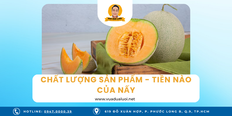 Vua Dưa Lưới - Dưa Lưới Sạch - Giá Dưa Lưới Vàng Chuẩn VIETGAP Quả dưa lưới vàng chất lượng tùy thuộc vào tiền nào của nấy