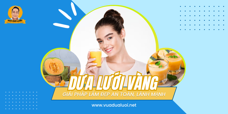 Vua Dưa Lưới - Dưa Lưới Sạch - Giá Dưa Lưới Vàng Chuẩn VIETGAP Dưa lưới vàng giúp làm đẹp an toàn hiệu quả