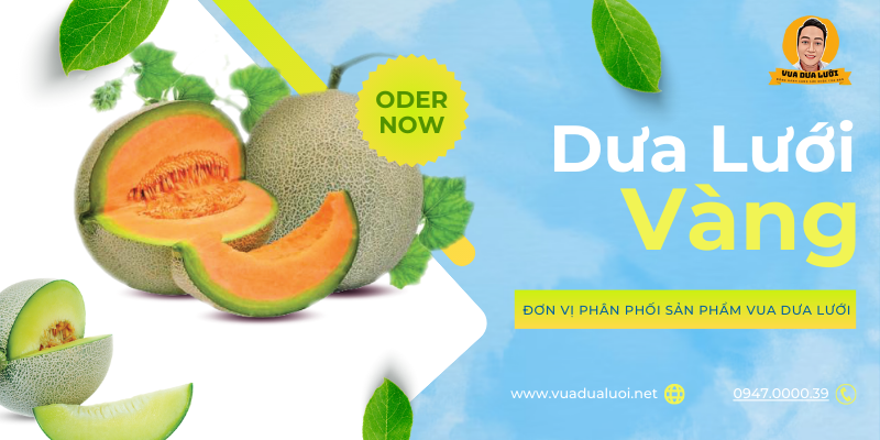 Vua Dưa Lưới - Dưa Lưới Sạch - Giá Dưa Lưới Vàng Chuẩn VIETGAP Giới thiệu vua dưa lưới nhà phân phối dưa lưới lớn nhất Việt Nam