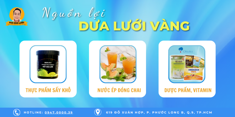 Vua Dưa Lưới - Dưa Lưới Sạch - Giá Dưa Lưới Vàng Chuẩn VIETGAP Nguồn của dưa lưới vàng trong đời sống