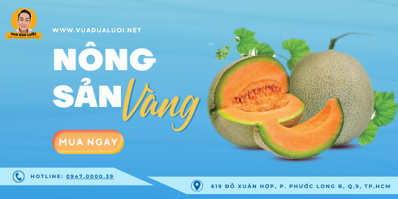 Vua Dưa Lưới - Dưa Lưới Sạch - Giá Dưa Lưới Vàng Chuẩn VIETGAP Vua dưa lưới vàng nông sản đặc biệt Việt Nam - hình ảnh giá dưa lưới vàng