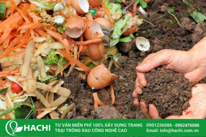 Cách Cải Tạo Đất Sét Để Trồng Rau Hiệu Quả Và Bền Vững